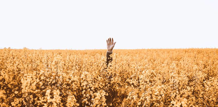 How do I find web hosting