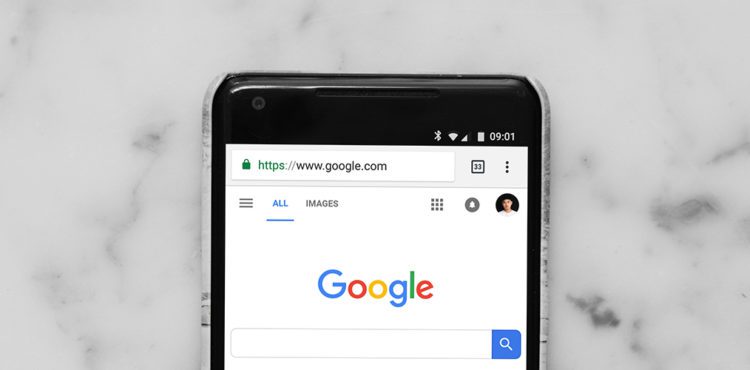 What's the difference between hosting and domain