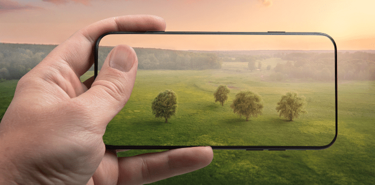 digital carbon footprint|What makes a good blog