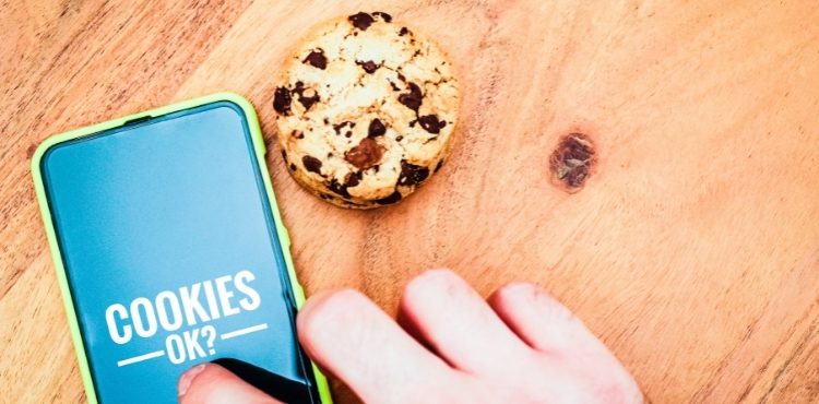 How do you identify cookies on a website