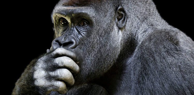 What’s the difference between cost and value for web design