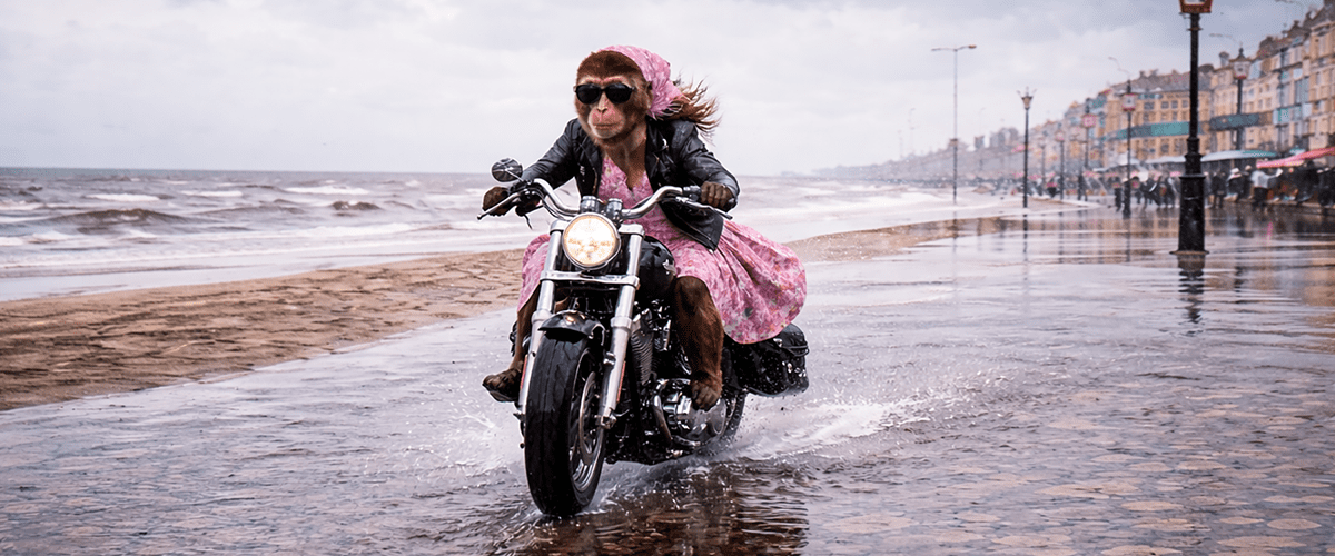 What is Google's AI Overview