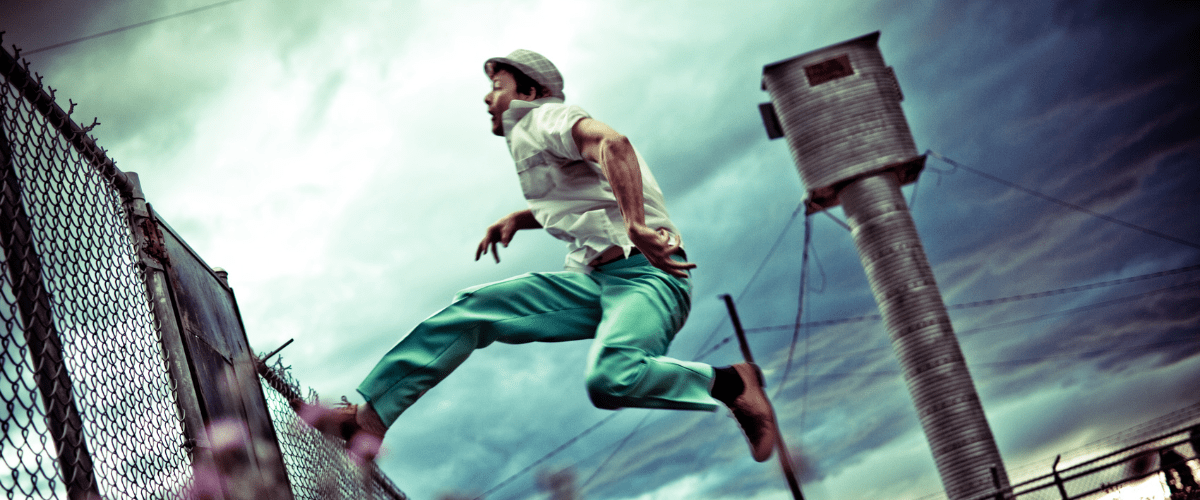 What is analogue living